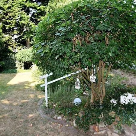 Apartment Schone 3 *